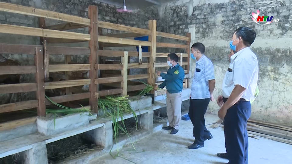 Trang địa phương ngày 28/7/2021