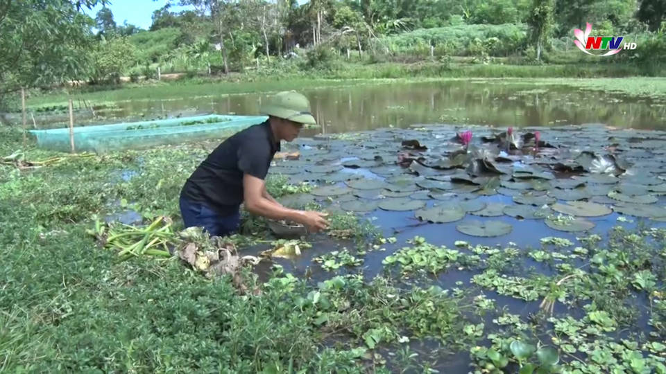 Trang địa phương ngày 29/7/2021