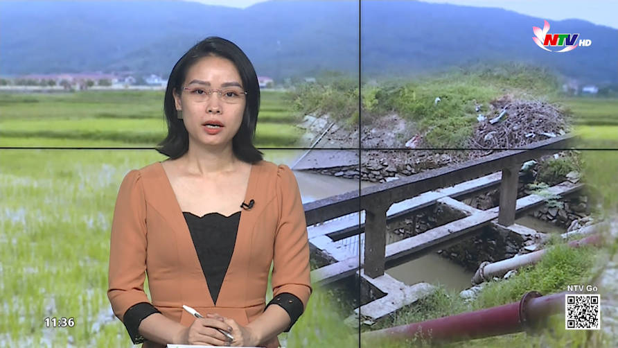 Thời sự Truyền hình trưa - 01/7/2022