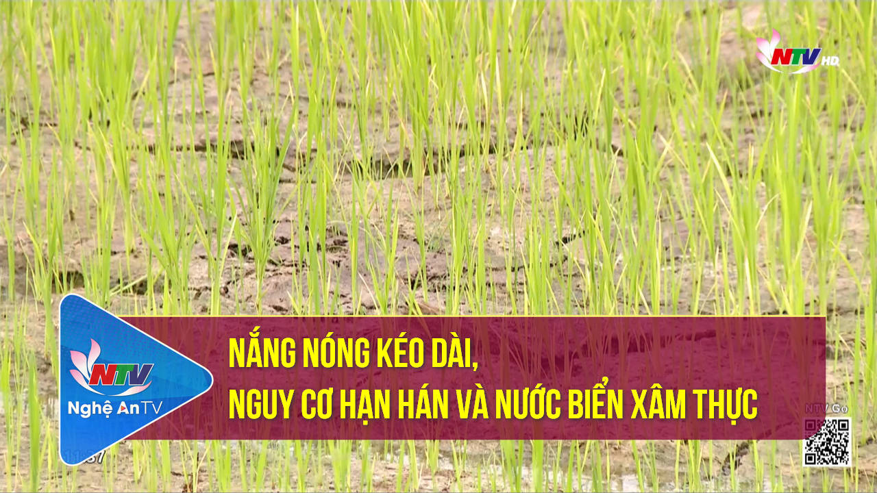 Nắng nóng kéo dài, nguy cơ hạn hán và nước biển xâm thực