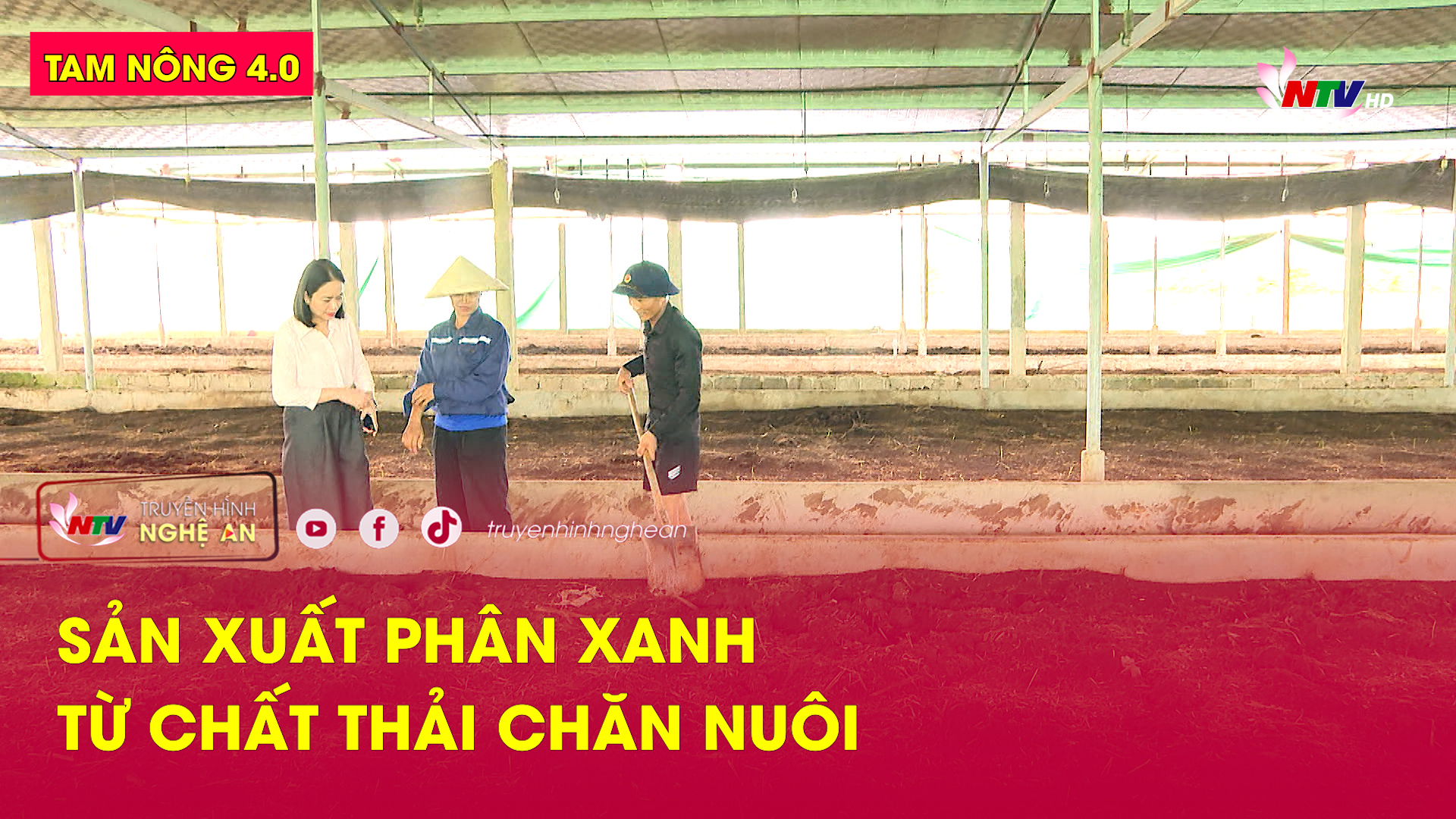 Tam nông 4.0: Sản xuất phân xanh từ chất thải chăn nuôi