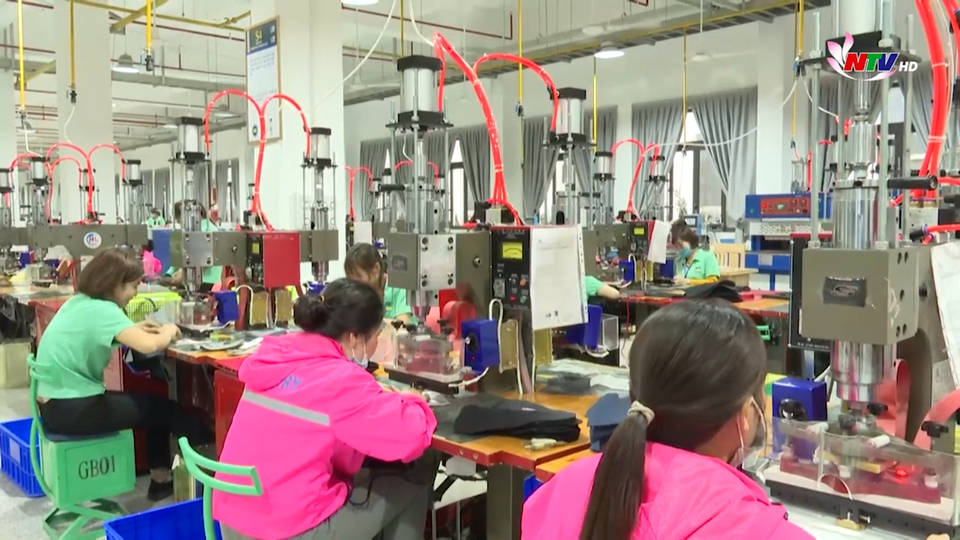 Trang địa phương ngày 01/8/2021