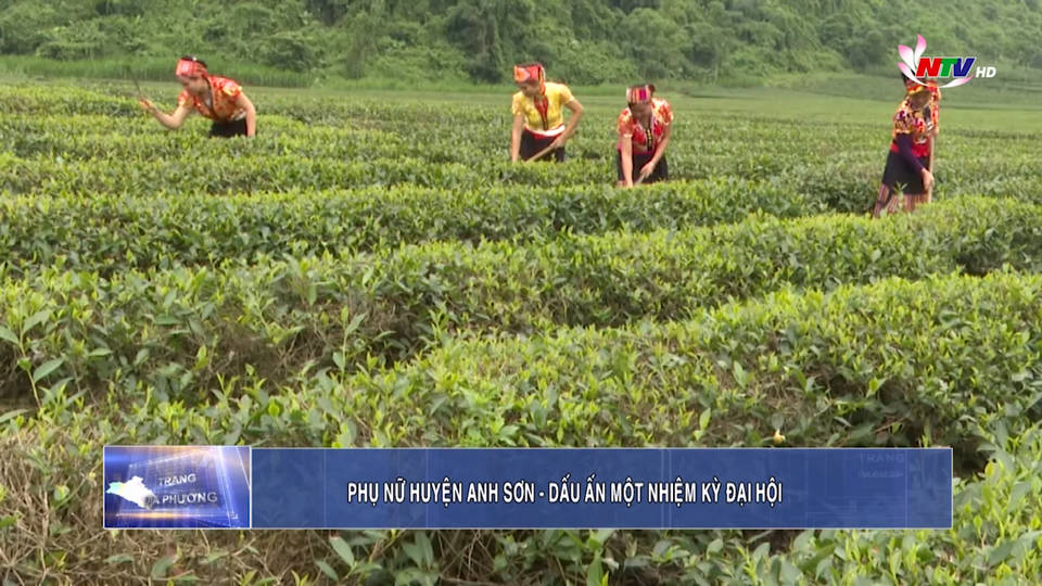 Trang địa phương ngày 02/8/2021