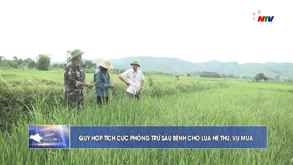 Trang địa phương ngày 03/8/2021
