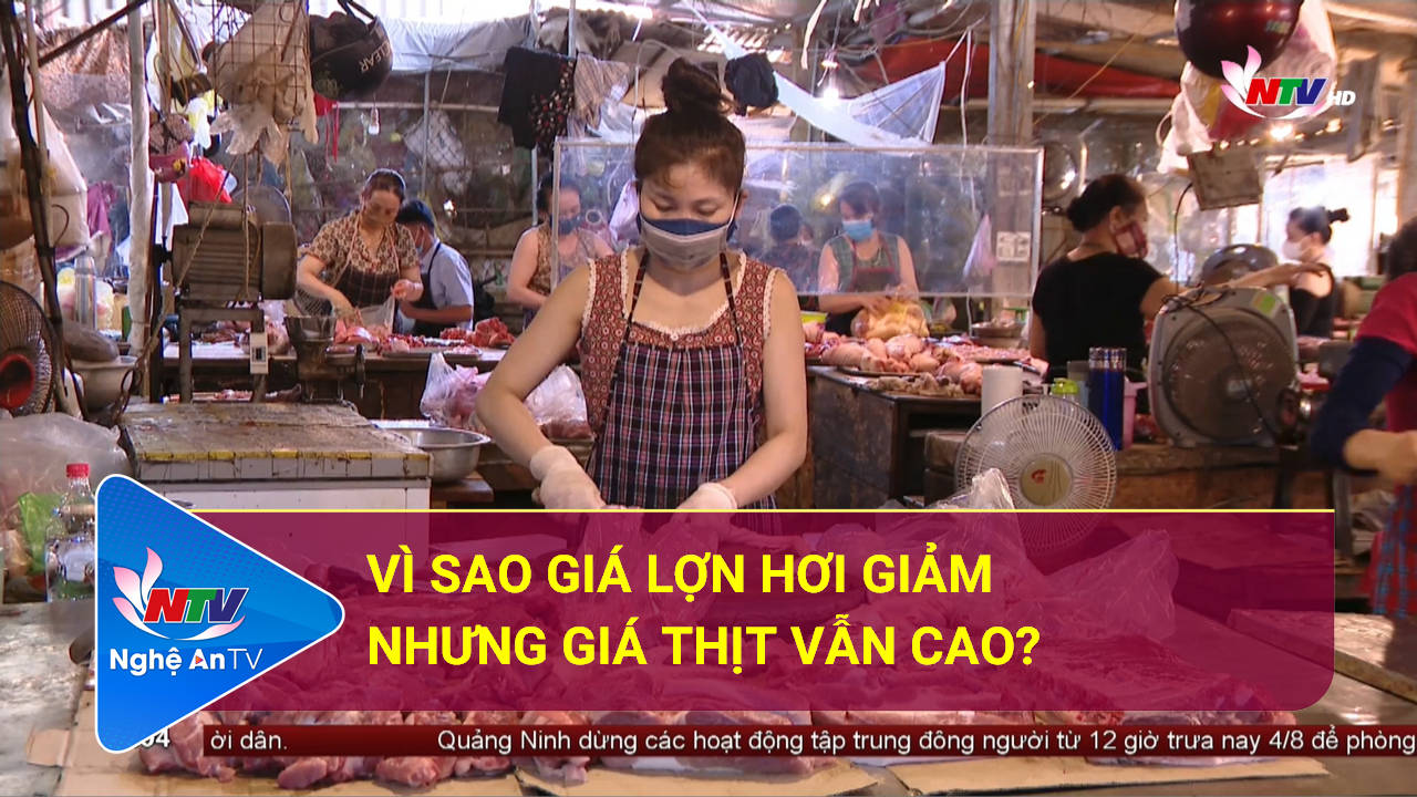 Vì sao giá lợn hơi giảm nhưng giá thịt vẫn cao?