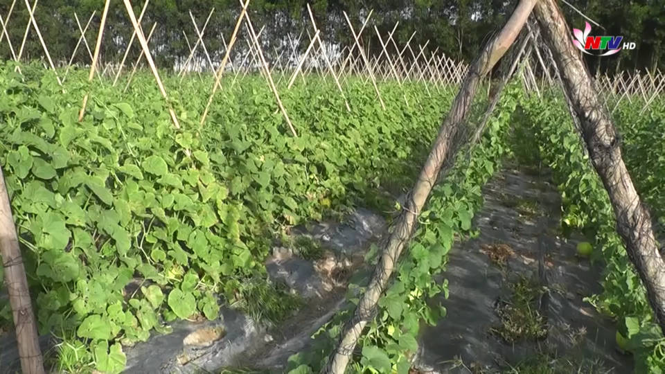 Trang địa phương ngày 09/8/2021