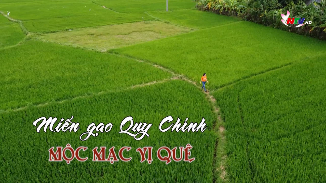 Thương hiệu OCOP Nghệ An: Miến gạo Quy Chính - mộc mạc vị quê nhà