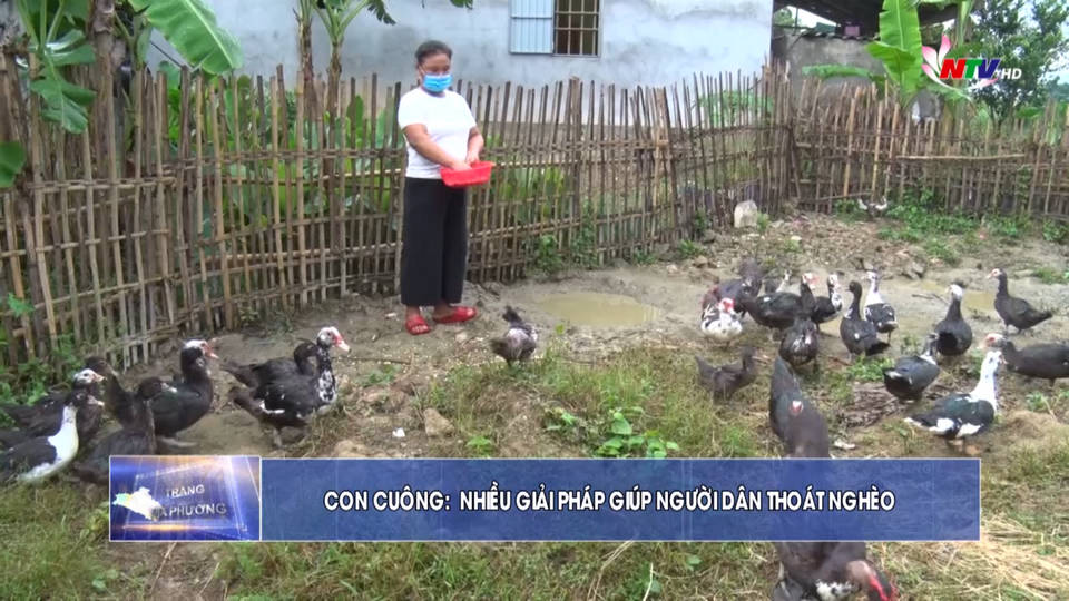 Trang địa phương ngày 18/8/2021