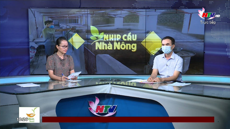 Nhịp cầu nhà nông: Chăm sóc đàn gia súc trong mùa mưa bão