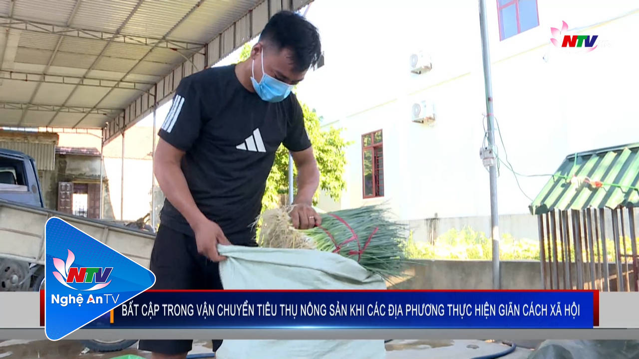 Bất cập trong vận chuyển tiêu thụ nông sản khi các địa phương thực hiện giãn cách xã hội