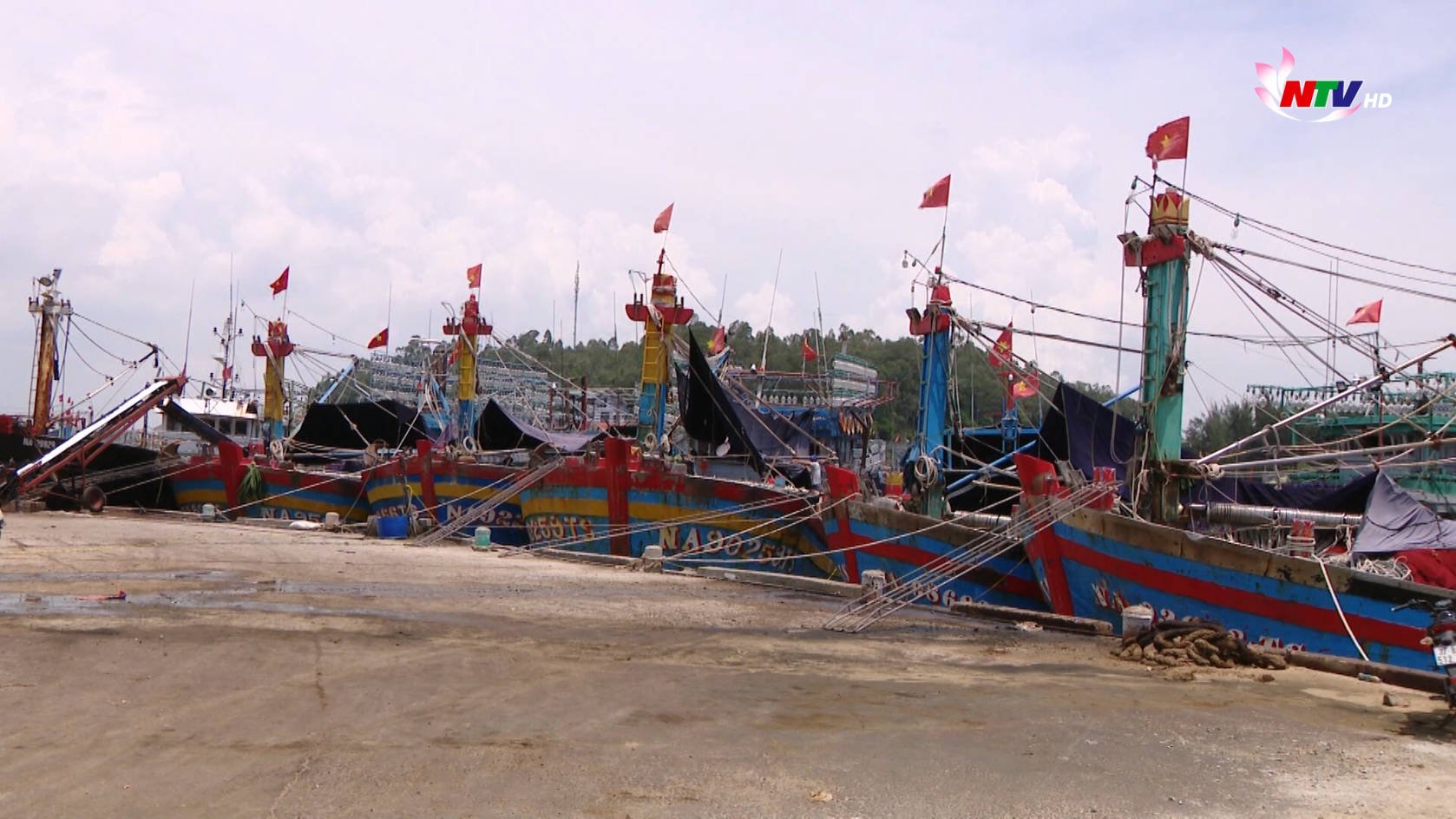 Ngư dân gặp khó khăn khi ra khơi khai thác hải sản