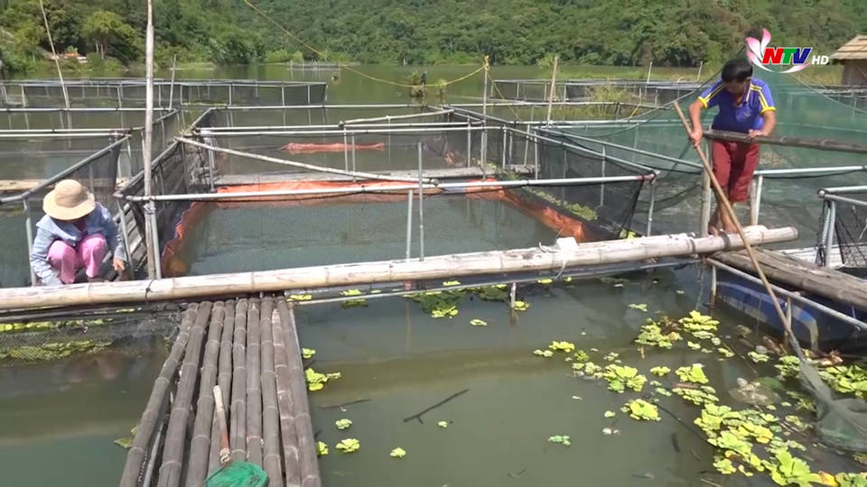 Trang địa phương ngày 27/8/2021