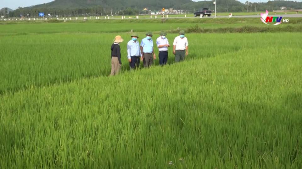 Trang địa phương ngày 11/8/2021