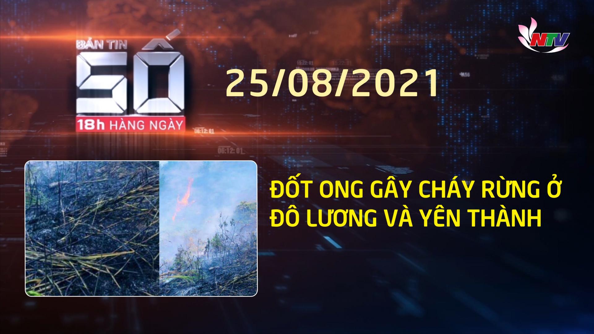 BẢN TIN SỐ 18h hàng ngày 25/8/2021: Đốt ong gây cháy rừng ở Đô Lương và Yên Thành