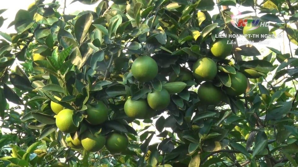 Khát vọng khởi nghiệp