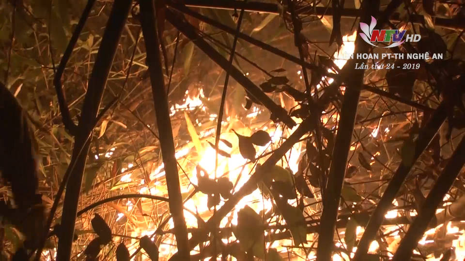 Cháy rừng hệ lụy từ ý thức