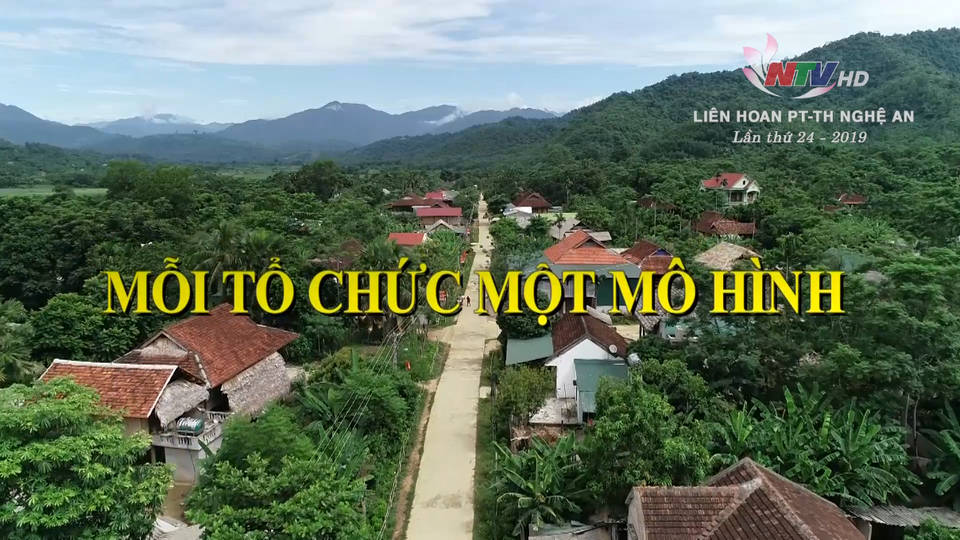Mỗi tổ chức một mô hình