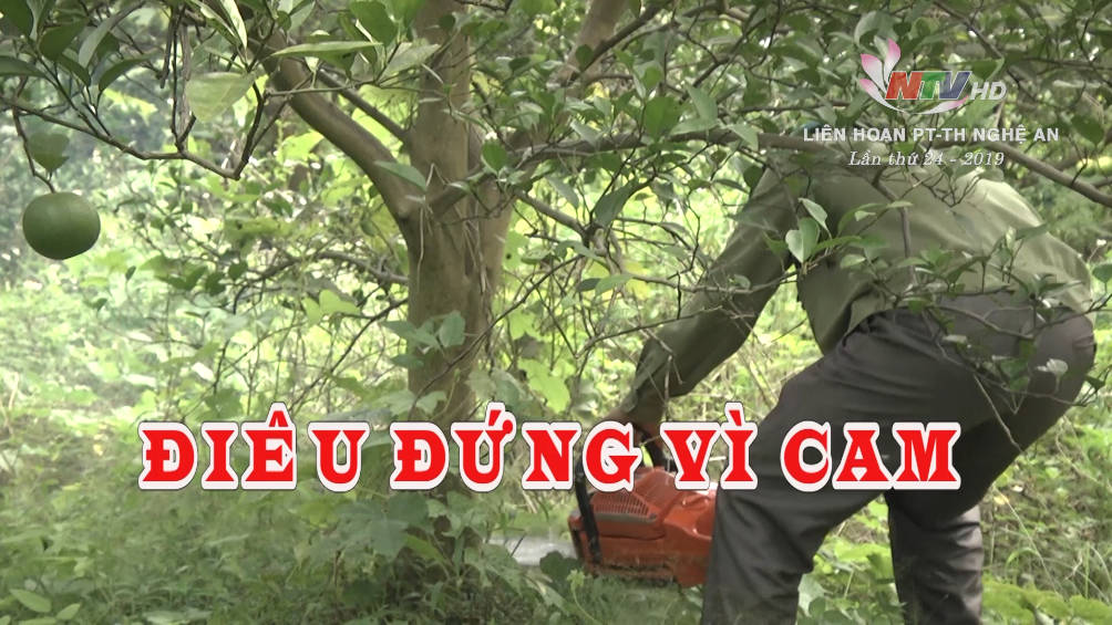 Điêu đứng vì Cam