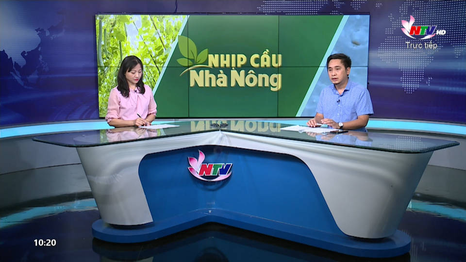 Nhịp cầu nhà nông: Kỹ thuật tiêm phòng vacxin cho đàn vật nuôi