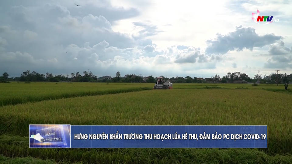 Trang địa phương ngày 03/9/2021