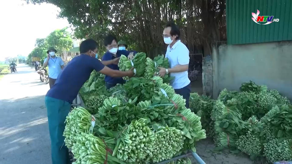 Trang địa phương ngày 08/9/2021