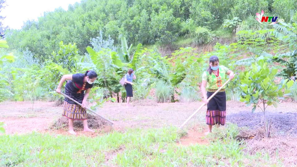 Trang địa phương ngày 09/9/2021