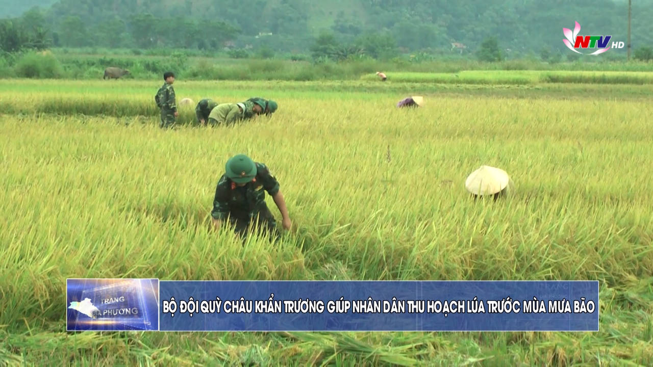 Trang địa phương ngày 16/9/2021
