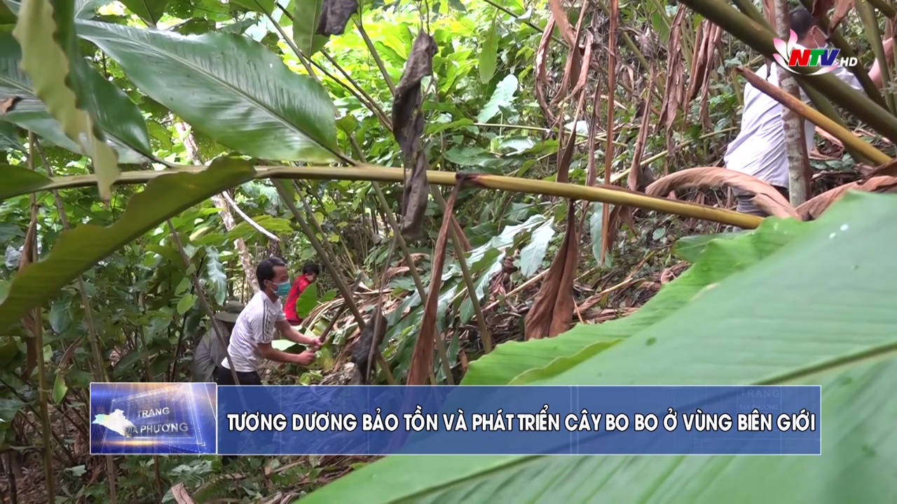 Trang địa phương ngày 17/9/2021