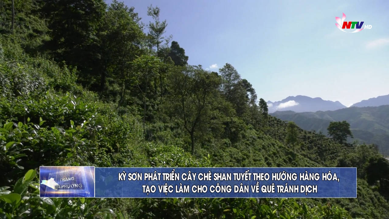 Trang địa phương ngày 18/9/2021