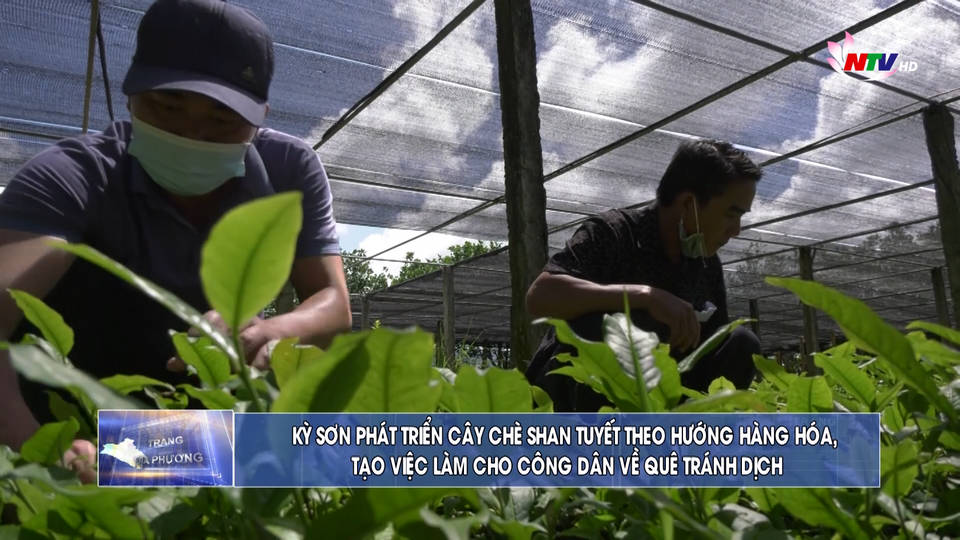 Trang địa phương ngày 19/9/2021