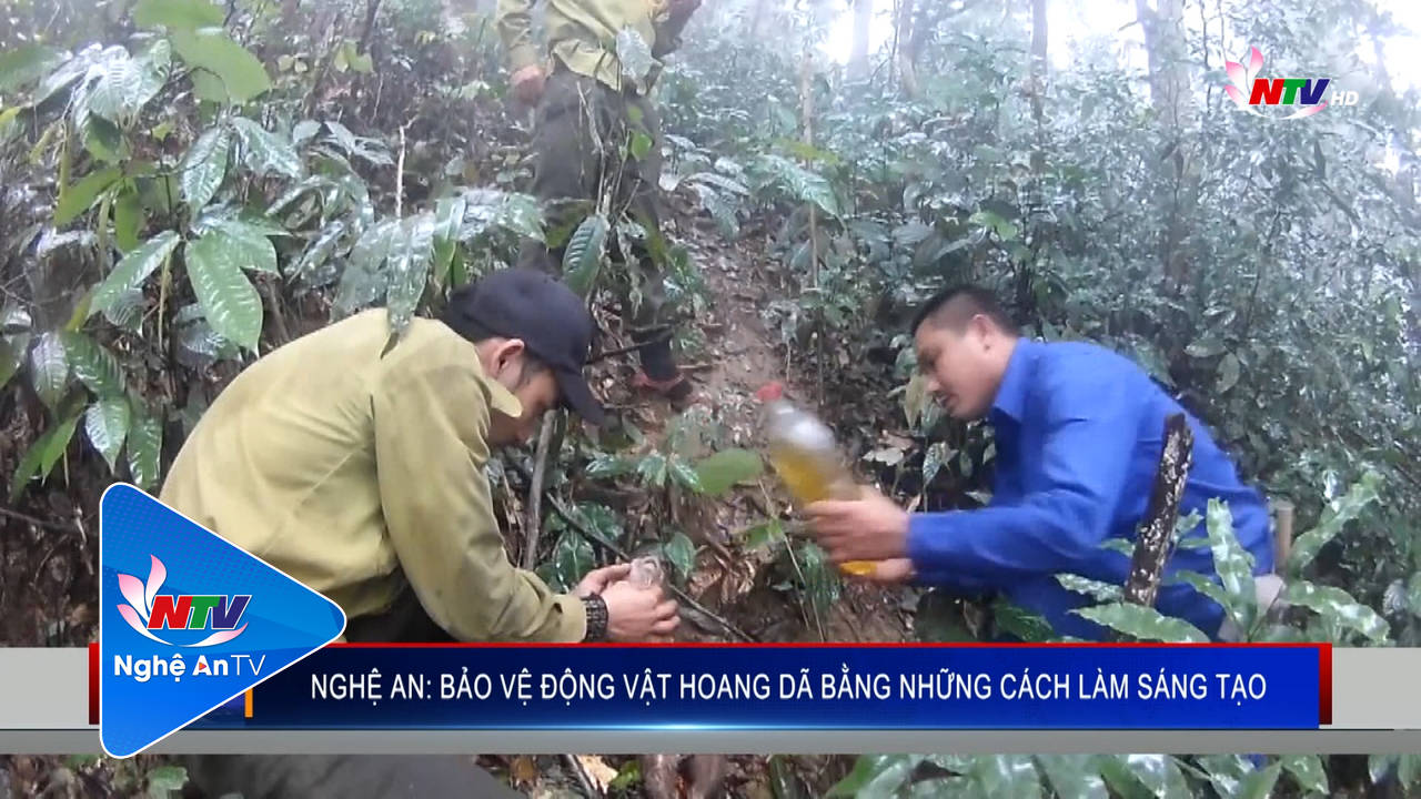 Nghệ An: Bảo vệ động vật hoang dã bằng những cách làm sáng tạo