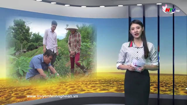 Nghệ An ngày mới - 01/10/2019