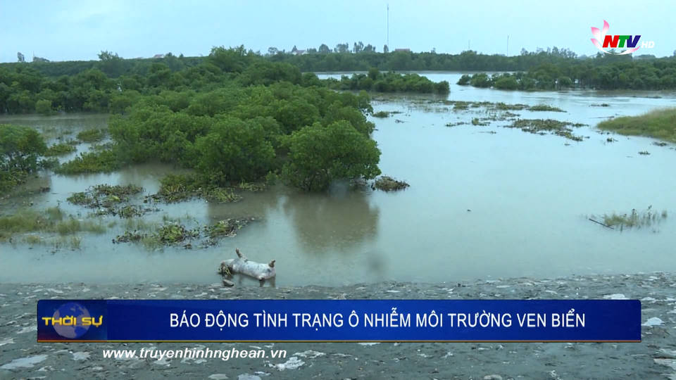 Báo động tình trạng ô nhiễm môi trường ven biển