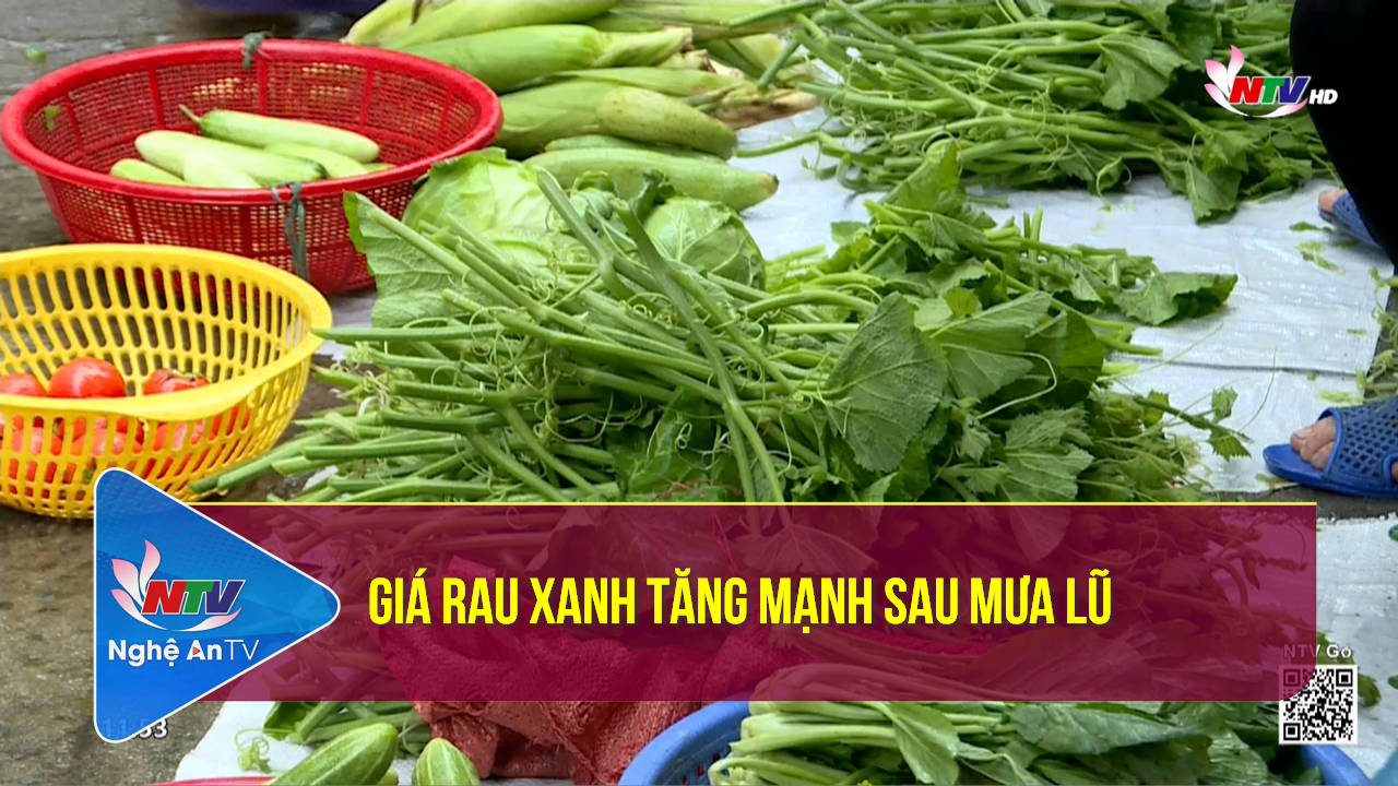 Giá rau xanh tăng mạnh sau mưa lũ