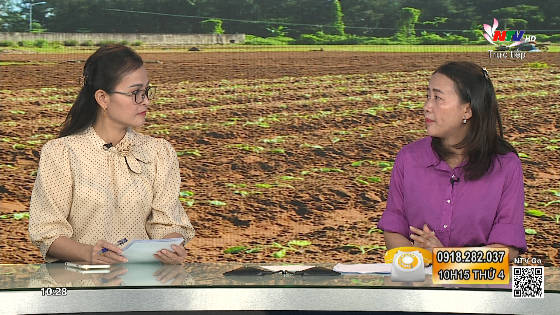 Nhịp cầu nhà nông:  Chăm sóc cây trồng vụ Đông sau mưa lũ