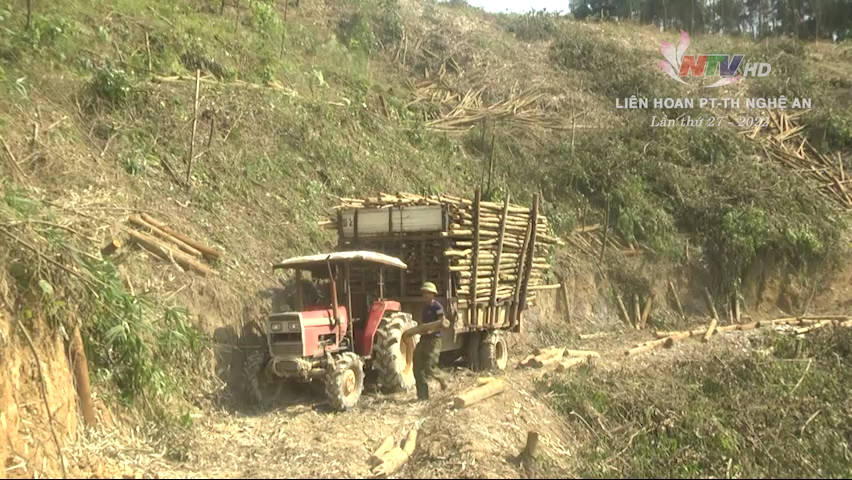 Giải pháp nào quản lý xe tự chế