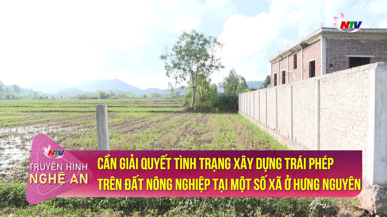 Hộp thư truyền hình: Cần giải quyết tình trạng xây dựng trái phép trên đất nông nghiệp tại một số xã ở Hưng Nguyên