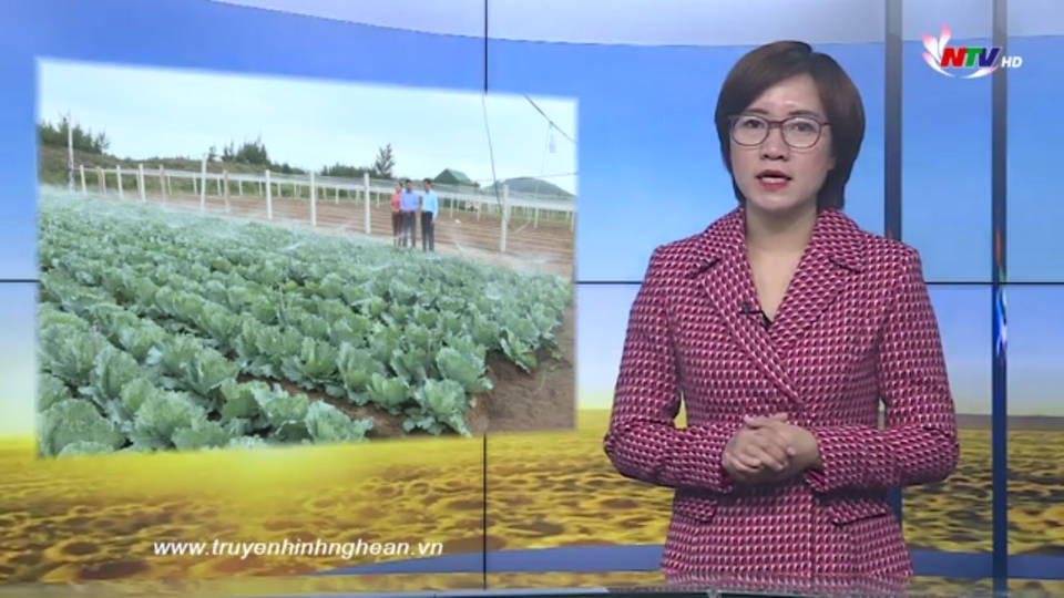 Nghệ An ngày mới - 30/12/2019