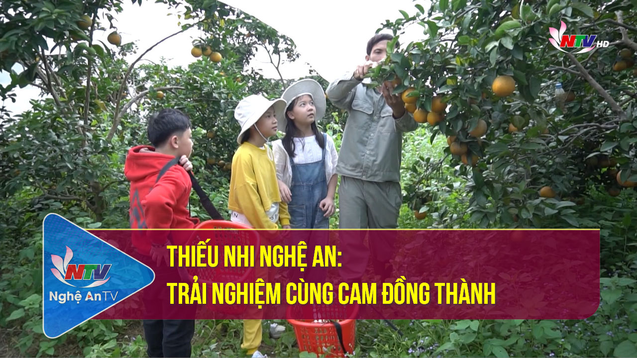 Thiếu nhi Nghệ An: Trải nghiệm cùng Cam Đồng Thành