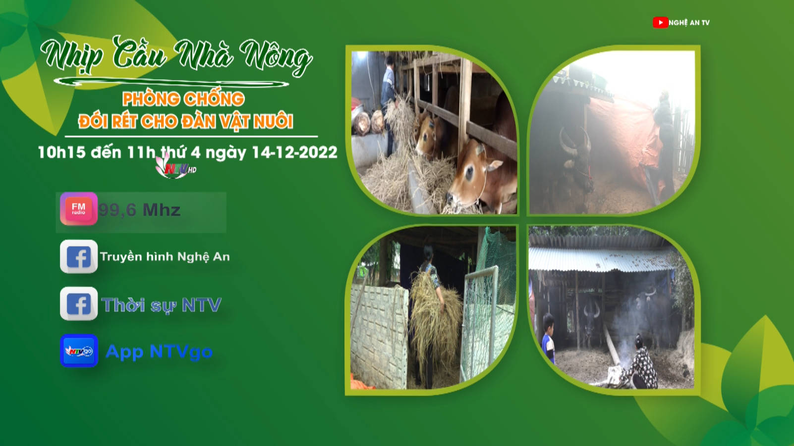 Nhịp cầu nhà nông: Phòng chống đói rét cho đàn vật nuôi