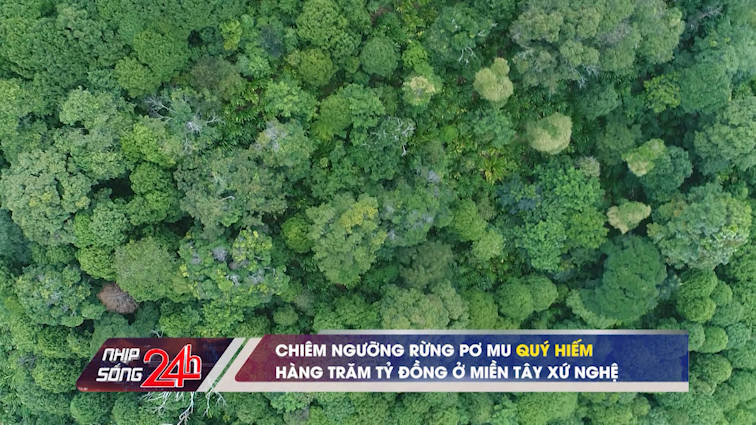 Bản tin Nhịp sống 24h - 19/12/2022