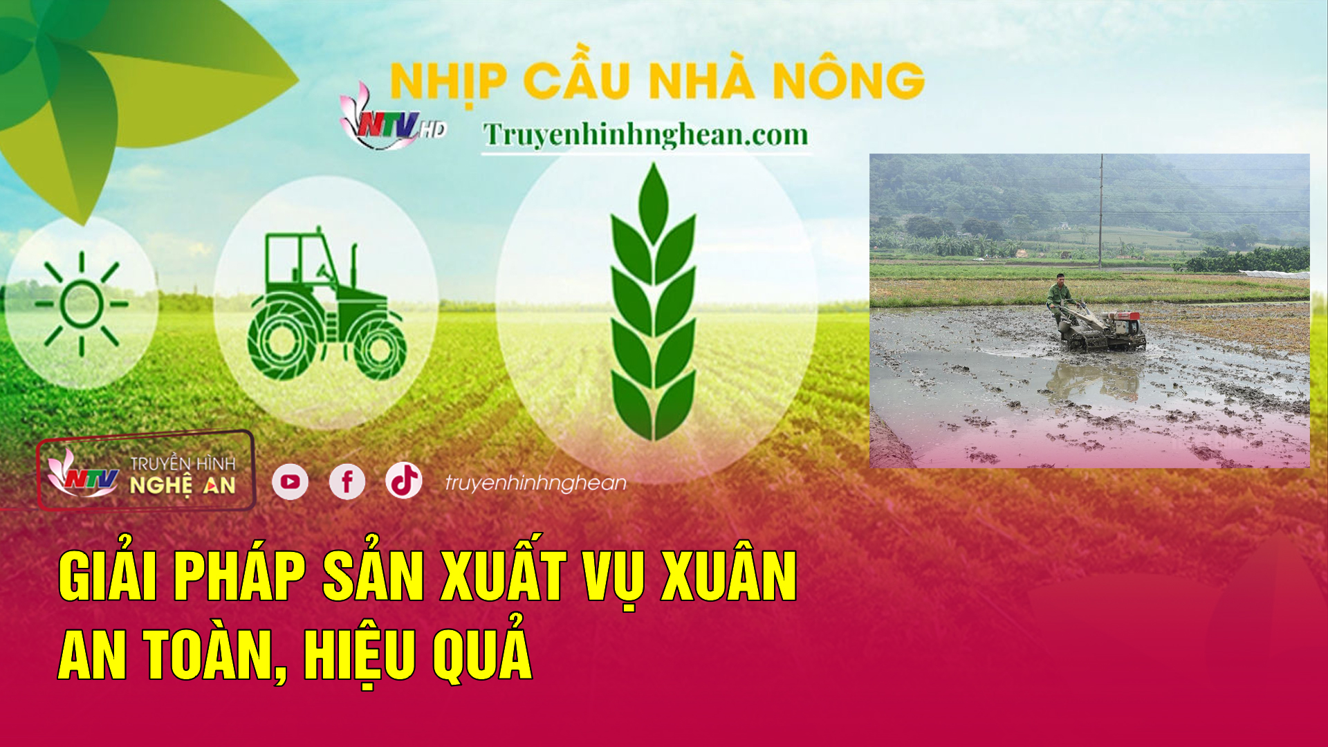 Nhịp cầu nhà nông: Giải pháp sản xuất vụ xuân an toàn, hiệu quả