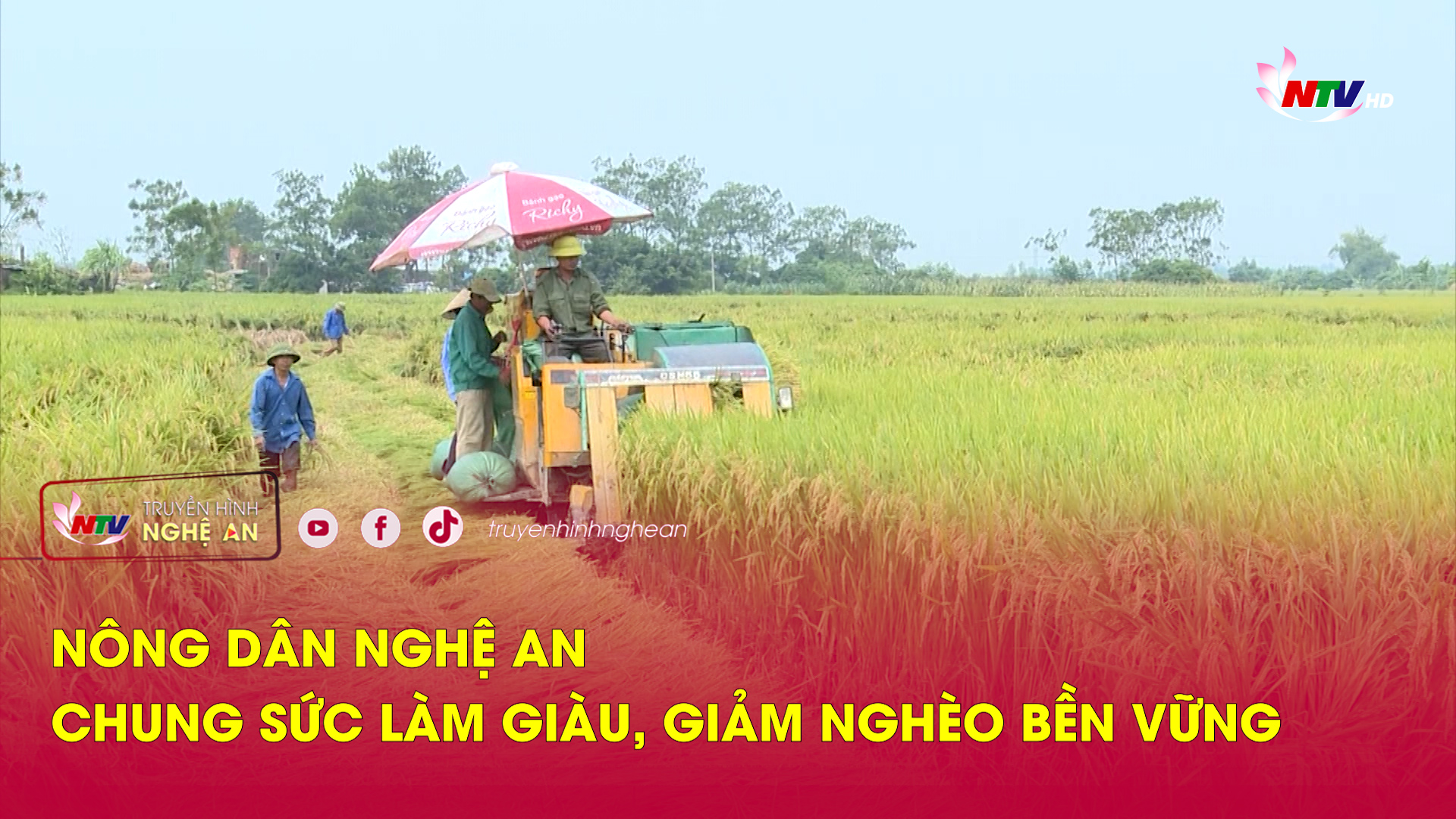 Nông dân Nghệ An chung sức làm giàu, giảm nghèo bền vững