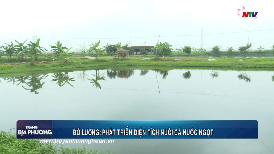 Trang địa phương ngày 30/12/2018