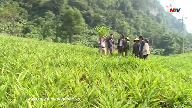 Nghệ An ngày mới - 05/01/2019