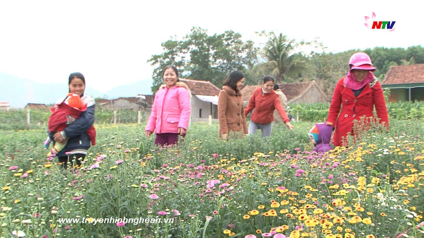 Trang địa phương ngày 06/01/2019