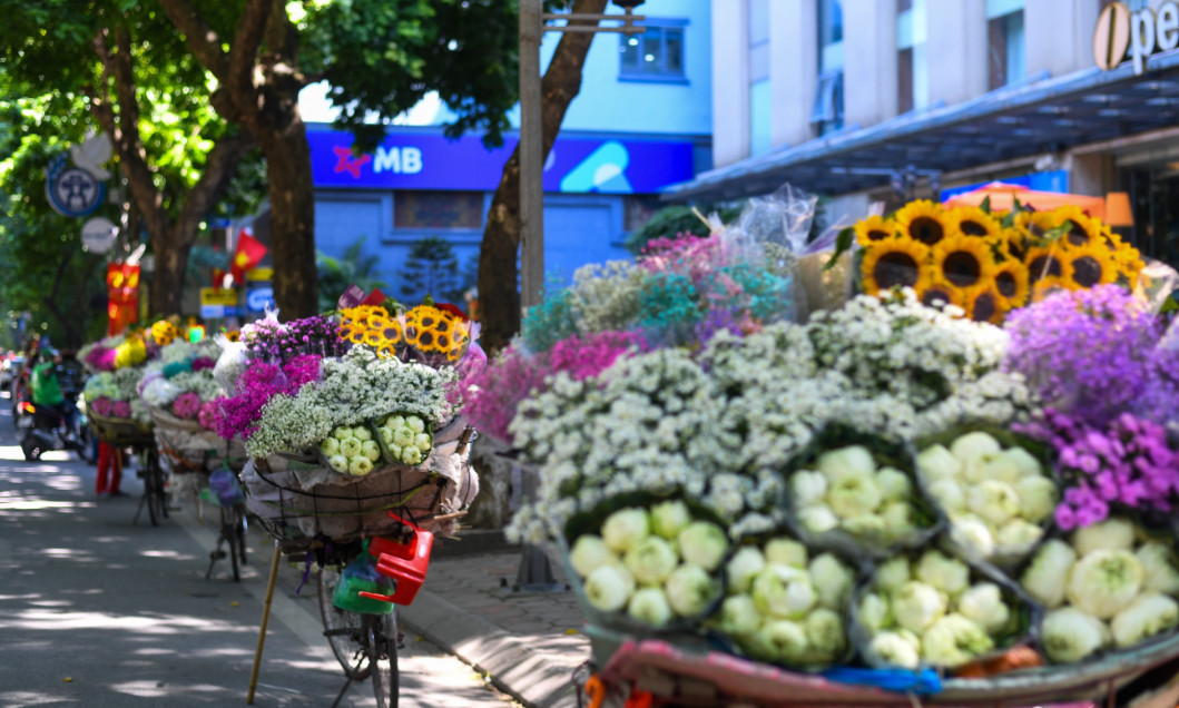 Thu Hà Nội đẹp nao lòng trên những chiếc xe hoa chở mùa qua phố