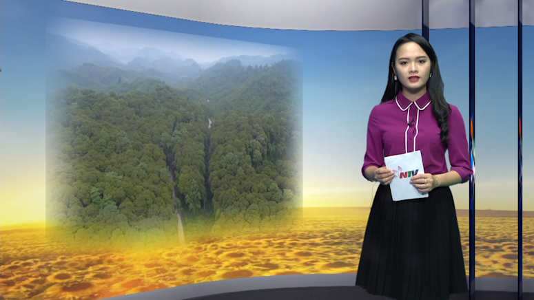 Nghệ An ngày mới - 27/01/2019