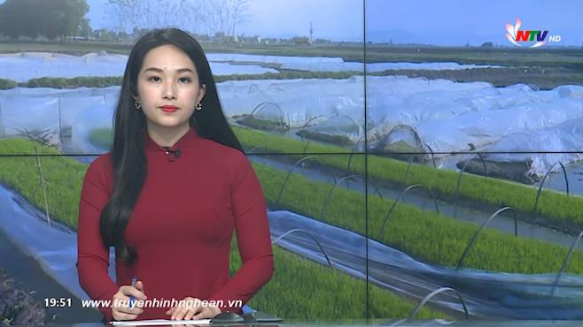 Thời sự Truyền hình - 07/01/2020