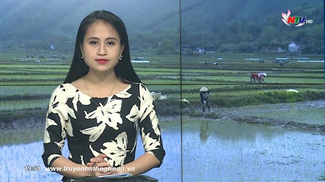 Thời sự Truyền hình - 11/01/2020